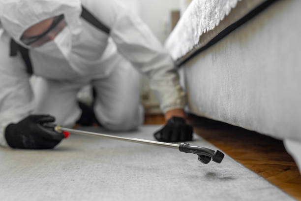 Professional Cockroach Control technician working in La Crescent, MN