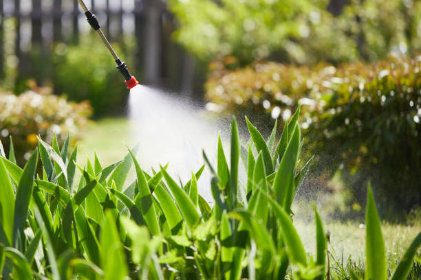 24/7 Emergency Cockroach Control experts in La Crescent, MN