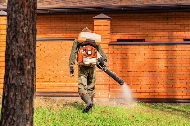 Top rated local Cockroach Control specialists in La Crescent, MN